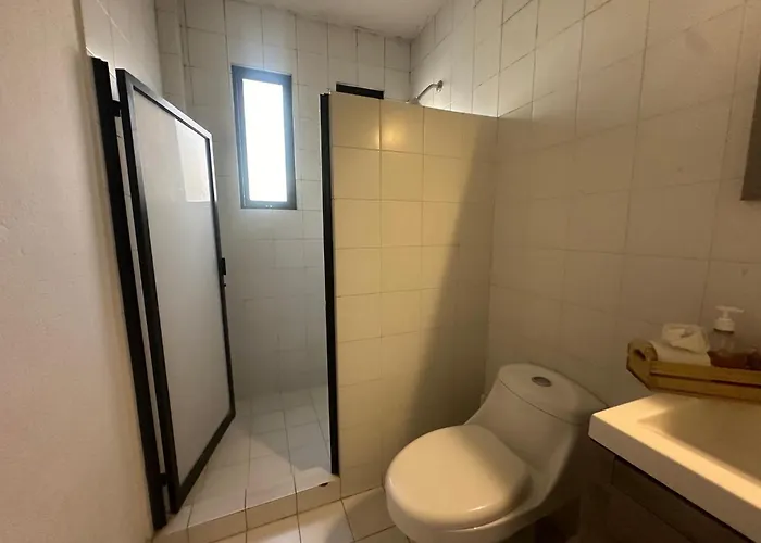 Apartment Urban Oasis In Roma - Wifi - Laundry - Sleeps 7 Mexico City