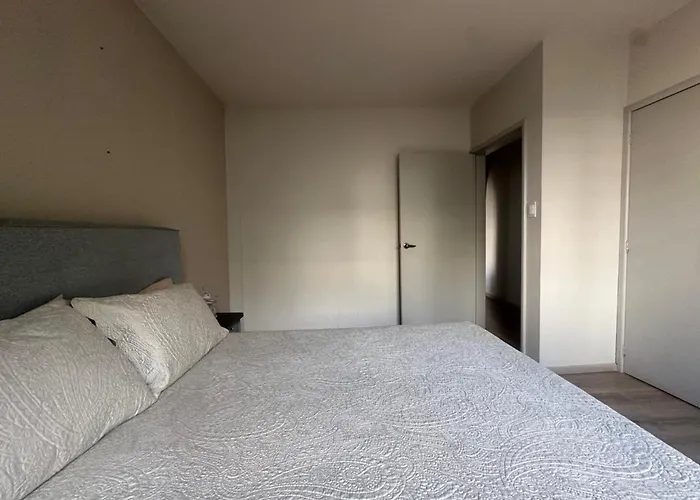 Urban Oasis In Roma - Wifi - Laundry - Sleeps 7 Apartment Mexico City
